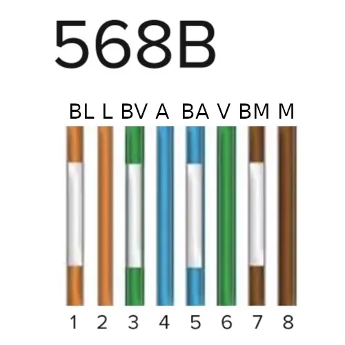 image-10 Tutorial: Crimpagem de Cabo de Rede CAT 5e - Demonstração Prática